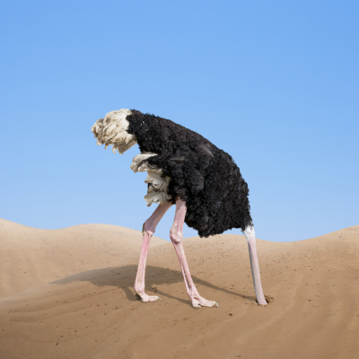 1416796127749-ostrich_head_in_the_sand_shutterstock_217847644_400x400.jpg