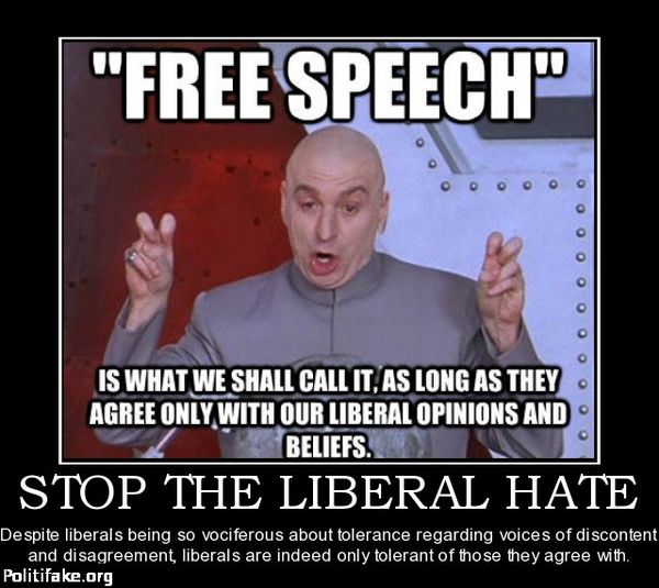 Image result for Liberal hate free speech