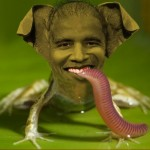 Frog Face Obama...