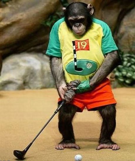 I'll show those ISIS who plays better Golf!...