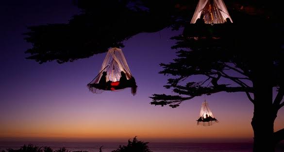 Tree camping in Germany...