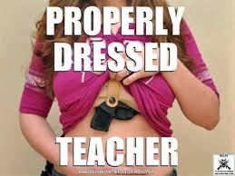 My Preference for a Teacher...
