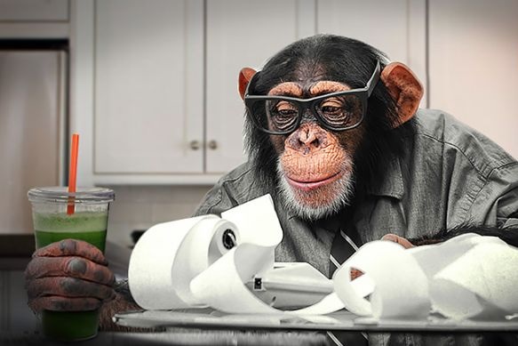 Dr. Lokimoki at your service,monkey face...