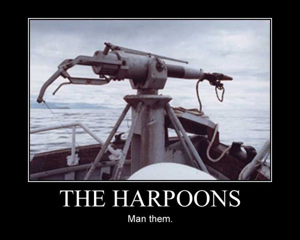 You take the harpoon...