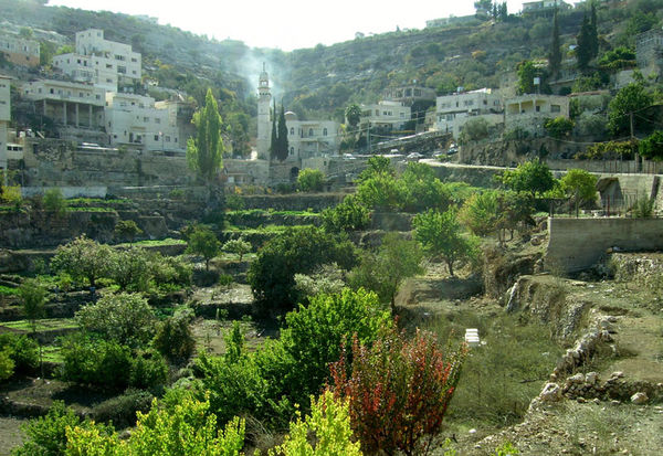 Palestinian village...