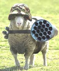 Extreme Hamas Sheep...