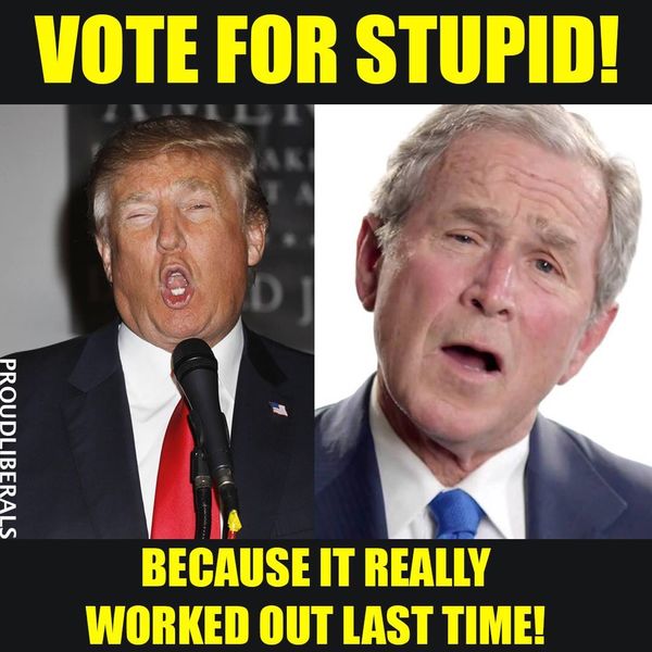Stupid is as stupid does...
