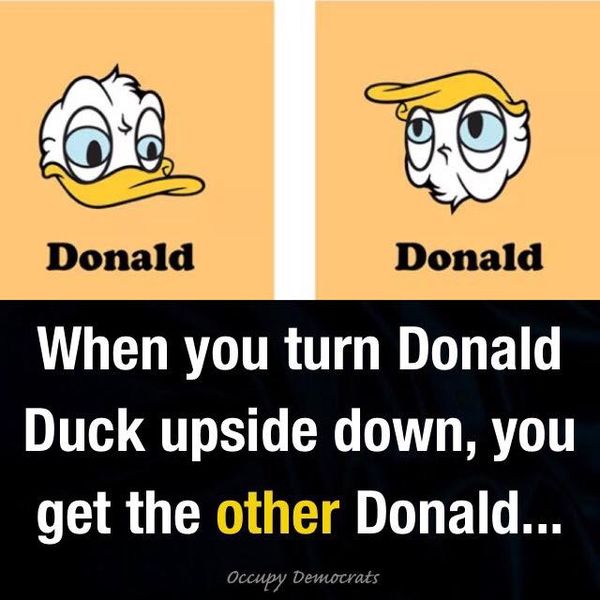 Donald Duck Frumpfass...