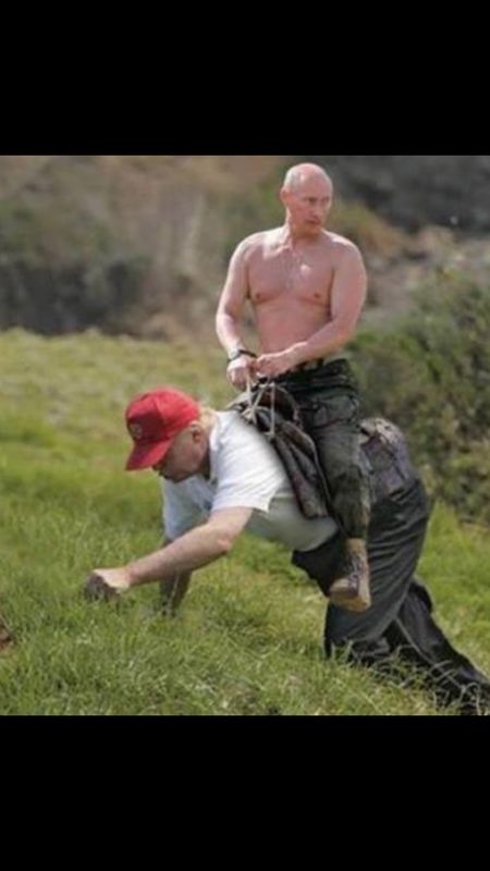 Donald playing in the grass with his best friend t...