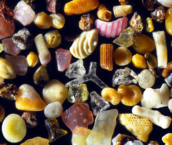 Morskoi sand under a microscope...