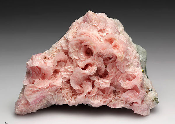 Rhodochrosite - Beautiful Shii mineral, also known...
