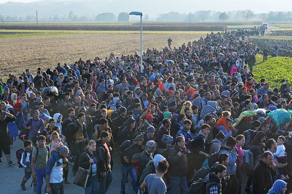 Pictured: Migrants walk towards a holding camp in ...