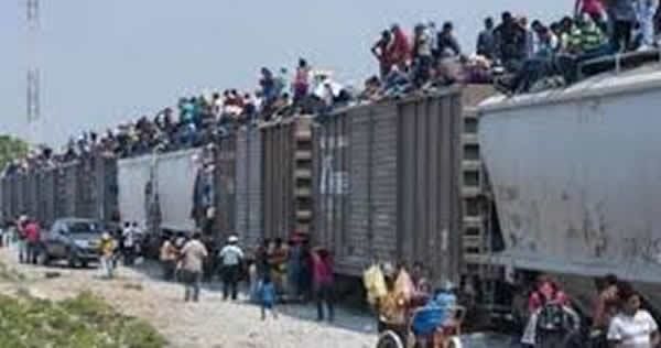2017 immigrant invaders train...