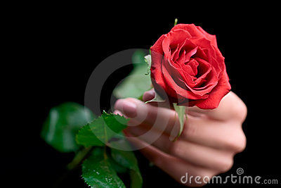 I offer this rose with a heart felt Happy Valentin...