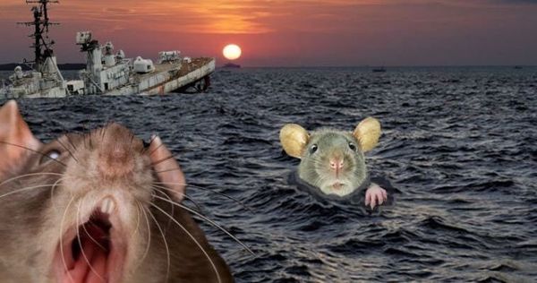 rats leaving the good ship trumps dump.....
