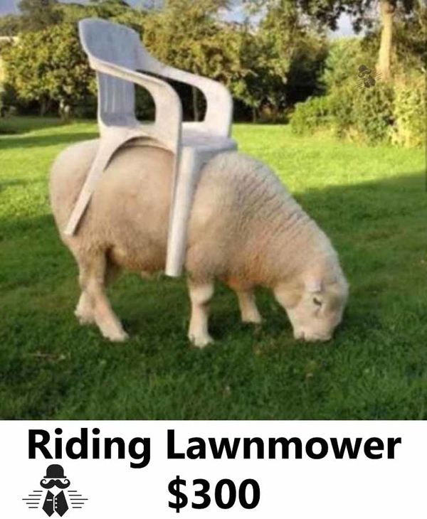 The ultimate social distance for mowing the lawn.....