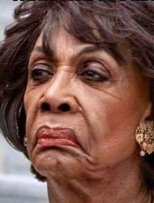 Monster Maxine Waters!...