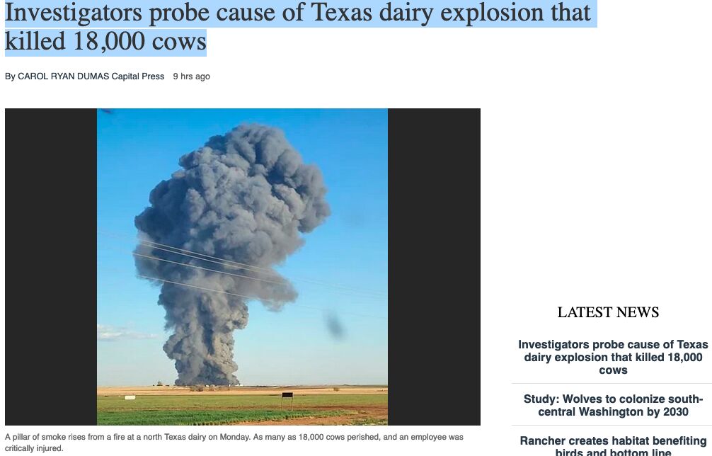 Investigators probe cause of Texas dairy explosion that k**led 18,000
