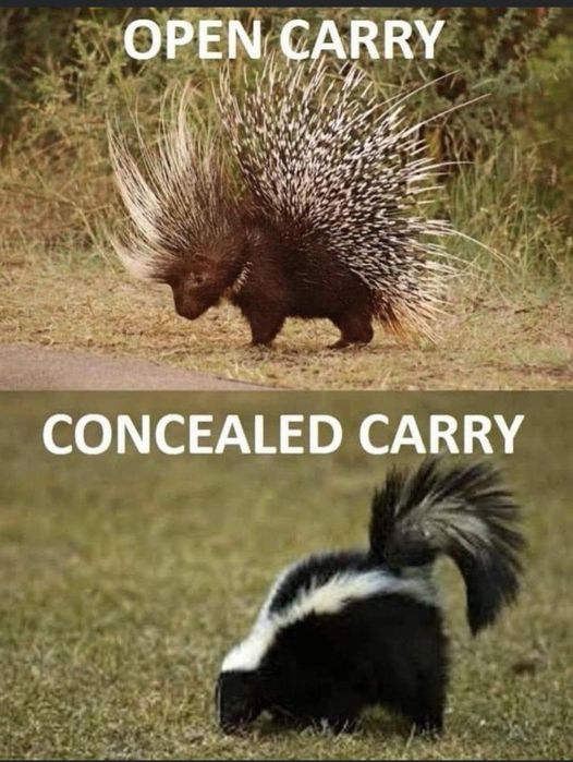The Difference Between Open Carry and Concealed Carry The Difference